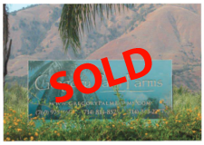 palm tree farm sold